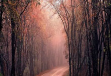 28圈体育：邮报：切尔西截胡曼联头号目标昆达，转会费约4000万英镑.