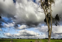 [CBA]季后赛4月24日：上海VS浙江.