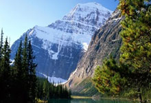 两场“樱花马”跑出中国路跑热度.